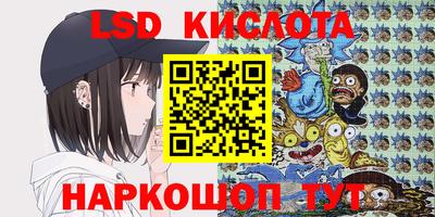 молекула духа Пугачёв