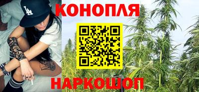 молекула духа Пугачёв