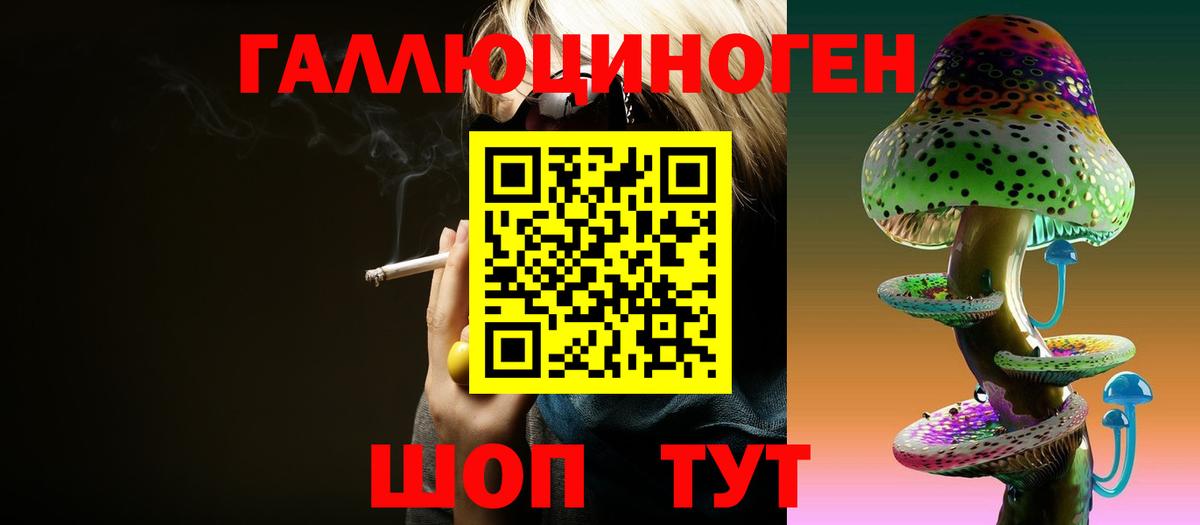 Галлюциногенные грибы Psilocybine cubensis Томск