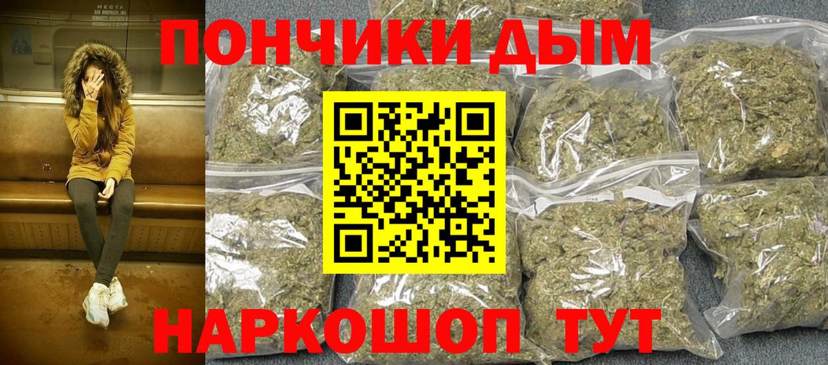 Канабис план Томск